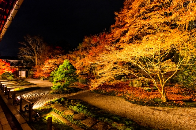 京都の写真